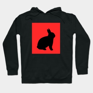 Rabbit in red Hoodie